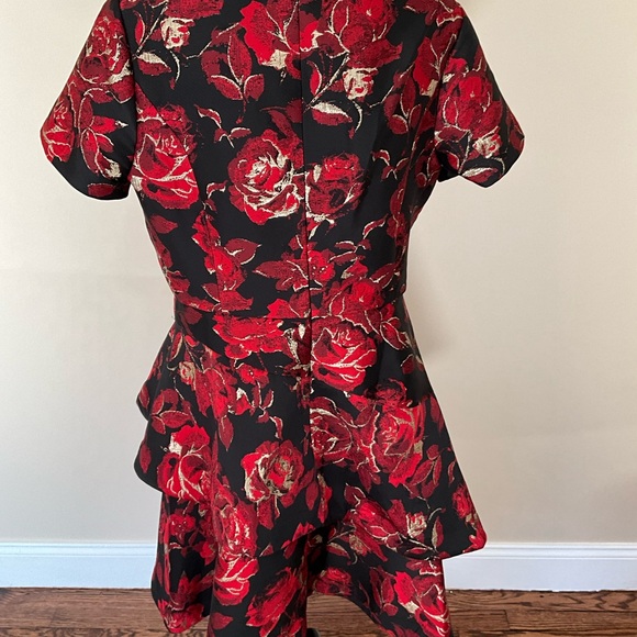 Shani Dress - Size 14 - Picture 2 of 4